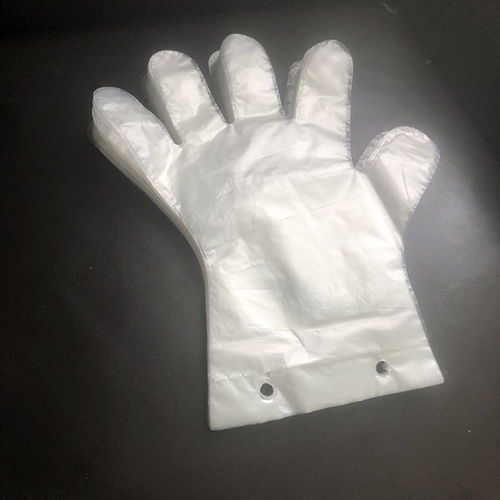 一次性挂孔手套 海川塑料制品公司 一次性挂孔手套多少钱